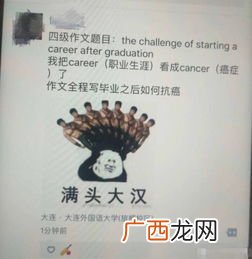 career是什么意思,career可数还是不可数？
