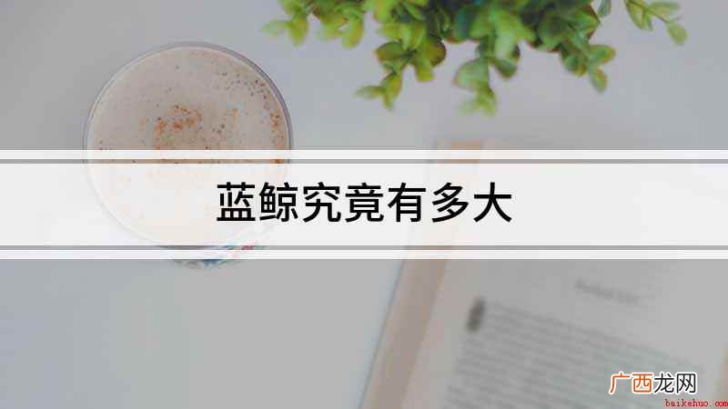 蓝鲸有多大,蓝鲸是世界上最大的动物 蓝鲸究竟有多大