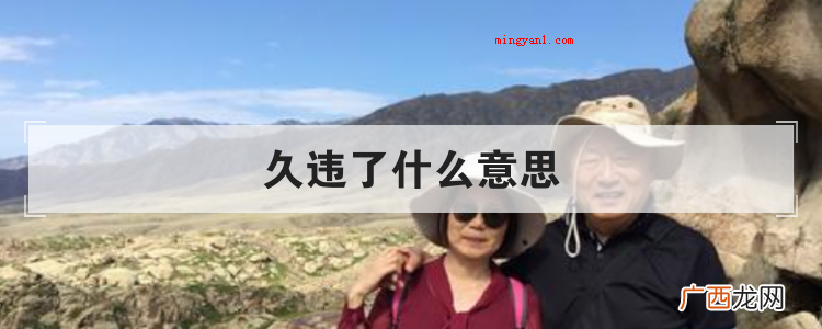 久违了什么意思