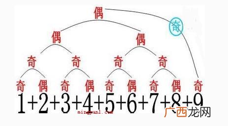 奇数是什么