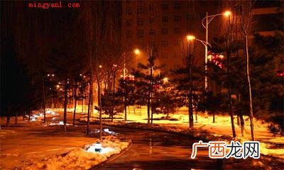 阑珊是什么意思