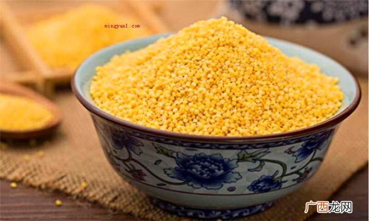 小米是什么