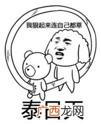 泰日天是什么意思什么梗？泰迪狗为什么叫泰日天 日天日地日空气