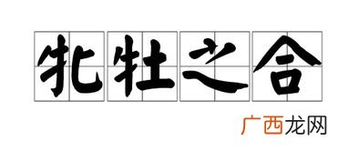 牝牡是什么意思,牝牡配合的意思？