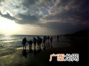 slowly是什么意思,slow什么时候作形容词和副词？