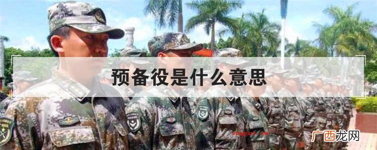 预备役是什么意思