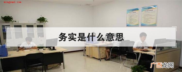 务实是什么意思