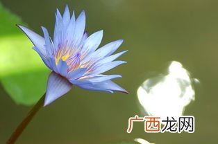 镜花水月是什么意思,镜花水月是什么意思？