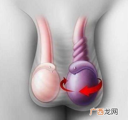 谣言 换蛋期是什么意思什么梗?男孩子换蛋蛋期是真的假的