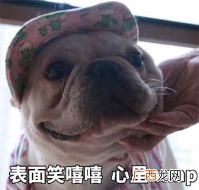 脸上笑嘻嘻心里mmp是什么意思什么梗 脸上笑嘻嘻心里mmp的含义