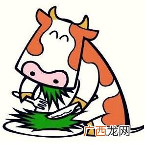 老牛吃嫩草是什么意思？老牛吃嫩草下一句一口都不少