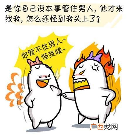 圣母婊是什么意思什么梗 圣母和圣母婊区别 圣母婊经典语录专用台词