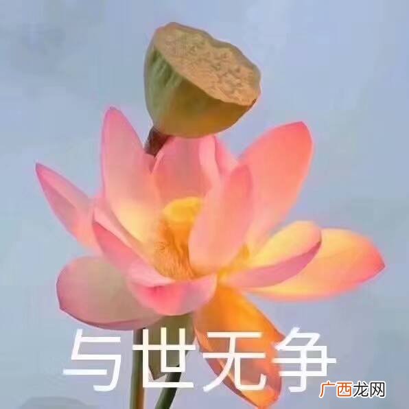 一朵什么,什么是一朵花比喻句？