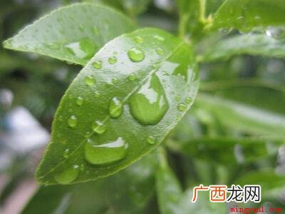 人生四大喜事为久汗逢甘雨、他乡遇故知、洞房花烛夜、金榜提名时