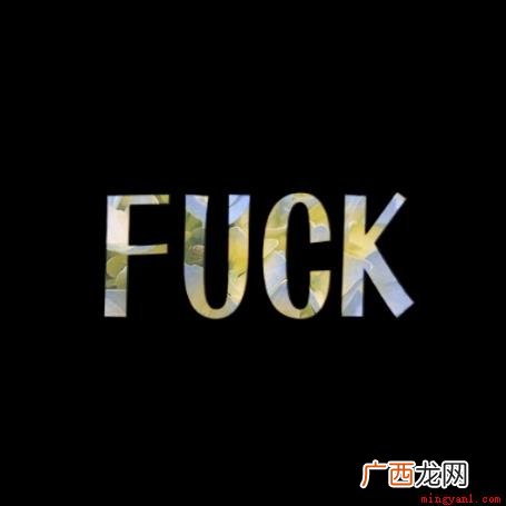 fuck作动词时意为与 fuck什么意思