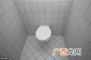 toilet是什么意思,厕所的英文全拼是？