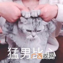 哦豁是什么意思,女孩说哦豁怎么回复？