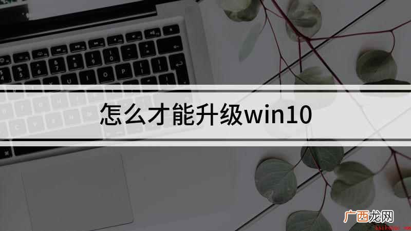 惠普战66,适用系统:Windows 10 家庭中文版 怎么才能升级win10