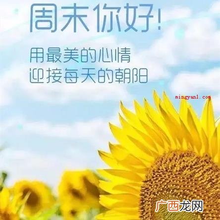 周末是指哪一天？