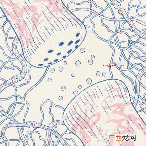 人难过时为什么会心痛？