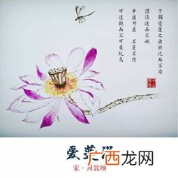 宜乎众矣的宜是什么意思,怎样理解\"莲之爱,同予者何人\"?