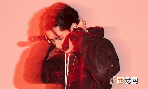 加拿大电鳗是什么意思什么梗 加拿大电鳗梗说的是谁