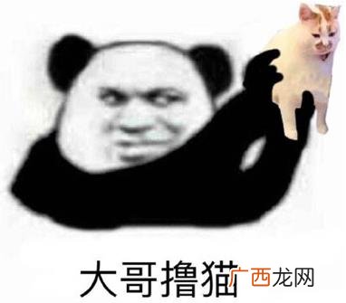 喝冰阔落是什么意思什么梗？冰阔落是哪的话？大哥喝冰阔落表情包走红