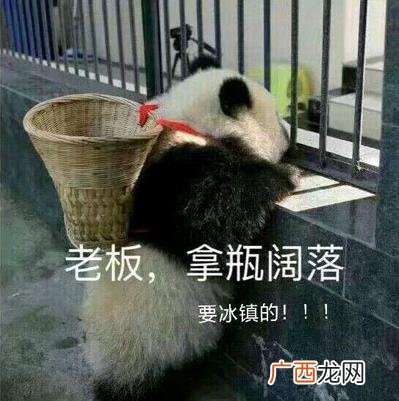 喝冰阔落是什么意思什么梗？冰阔落是哪的话？大哥喝冰阔落表情包走红