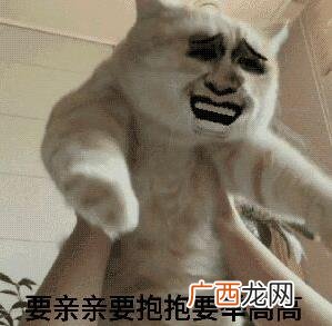 要亲亲要抱抱要举高高是什么意思什么梗？直接上图魔性表情包
