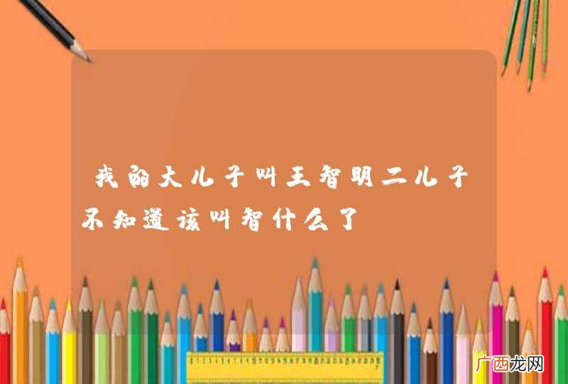 我的大儿子叫王智明二儿子不知道该叫智什么了？