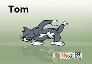 tom是什么意思,TOM中文啥意思？