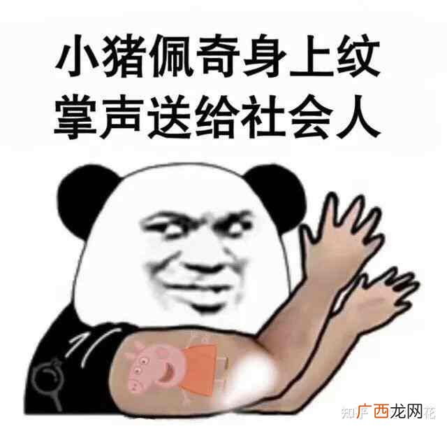S社会型人格的职业和专业分析 社会型人格适合什么职业
