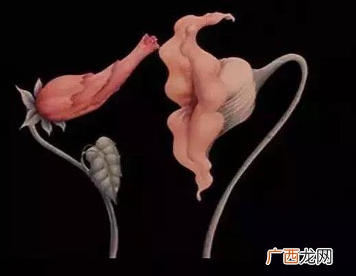 女生说3%是什么意思什么梗 百分之三的污内涵意思