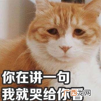 丧文化是什么意思？为何会出现丧文化？丧文化为什么会刷屏火起来