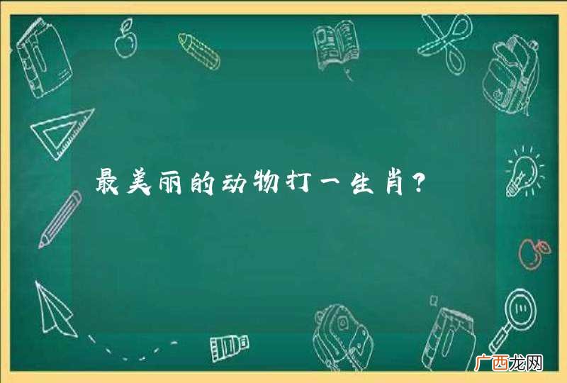 最美丽的动物打一生肖？