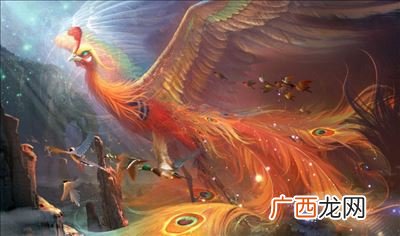 朱雀和凤凰的区别,凤凰朱雀毕方的区别？