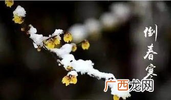 倒春寒是什么意思,大雪不冻倒春寒是啥意思？