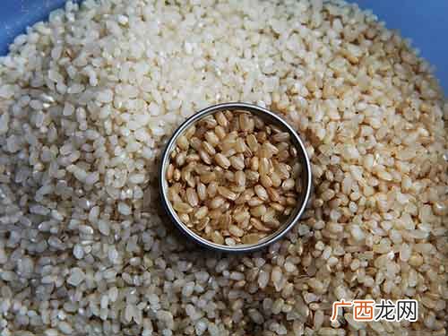 糙米怎么吃,糙米的正确吃法和做法？