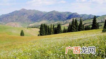 山麓是什么意思,山麓是什么？