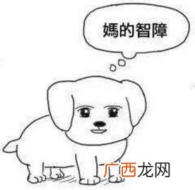 MDZZ是什么意思什么梗？妈的智障四个字的拼音首字母缩写mdzz
