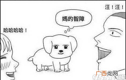 MDZZ是什么意思什么梗？妈的智障四个字的拼音首字母缩写mdzz