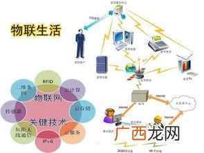 iot是什么意思啊,OPPO商城iot是什么？
