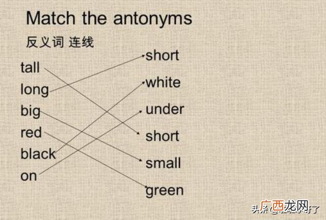long是什么意思,long的反义词是什么?