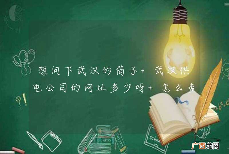 想问下武汉的筒子 武汉供电公司的网址多少呀 怎么查询账单 9月份取消纸质账单？