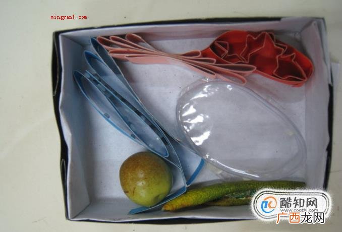 制作细胞模型