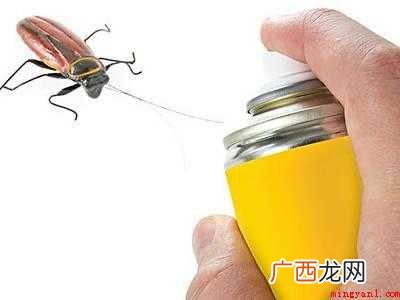 杀虫粉剂的使用方法