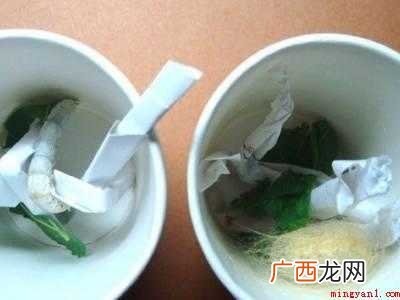 蚕宝宝吐丝怎么搭架子