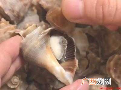 海螺做法