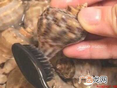 海螺做法