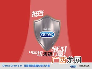 无懈可击是什么意思,完美无暇无懈可击，翻译？